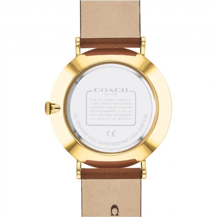 14602433_lrg_rgb_back-1564667528-797